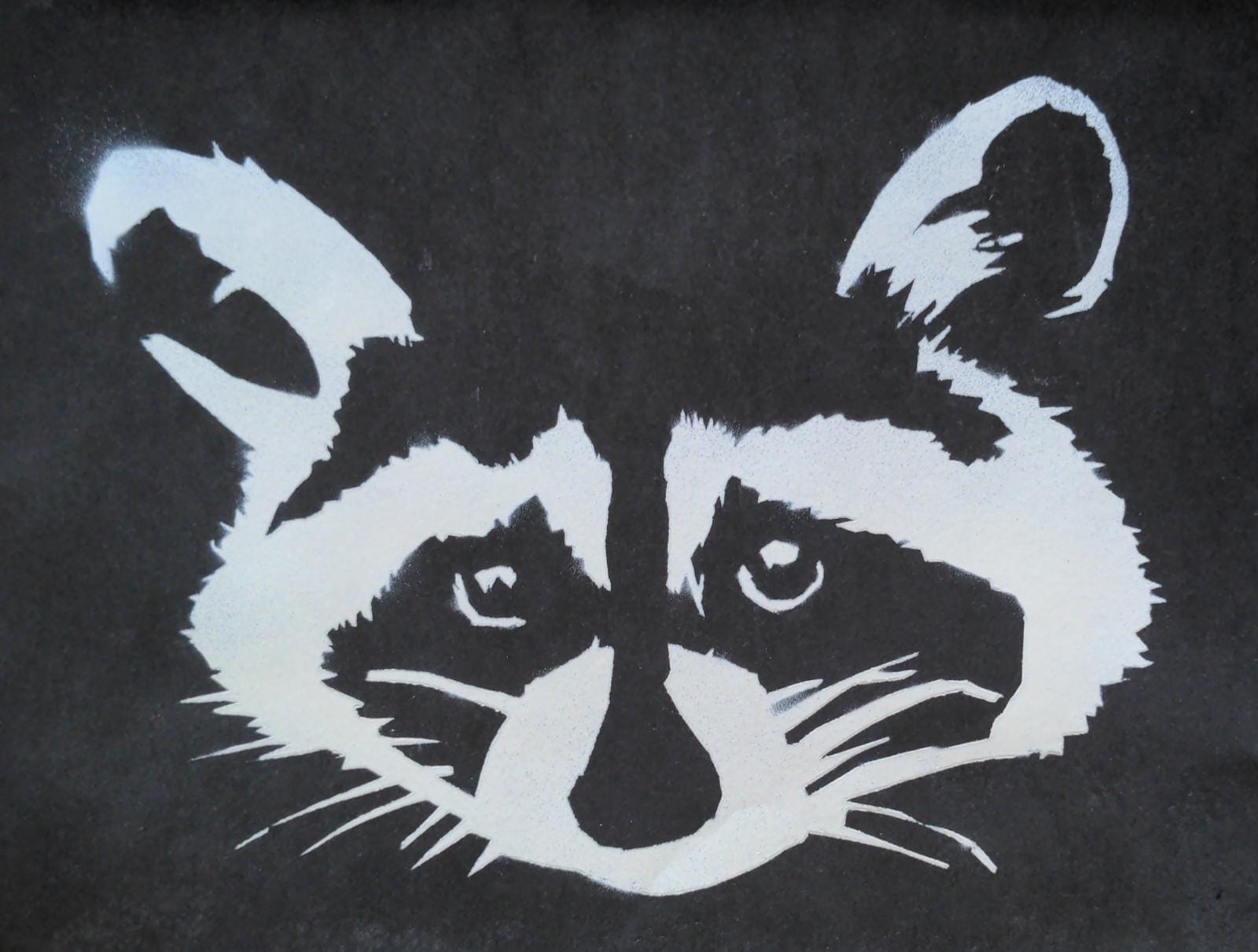 raccoon spraypaint